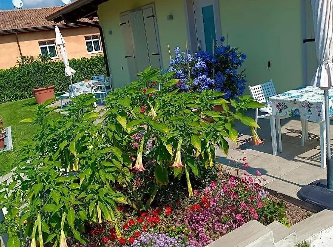 Rossini バルドリーノ